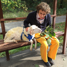 Load image into Gallery viewer, Preferred 15% Discount Art of IMPROVISATION (Small Group - 12 Sessions)